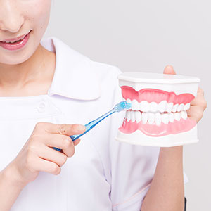 予防歯科・歯周病治療